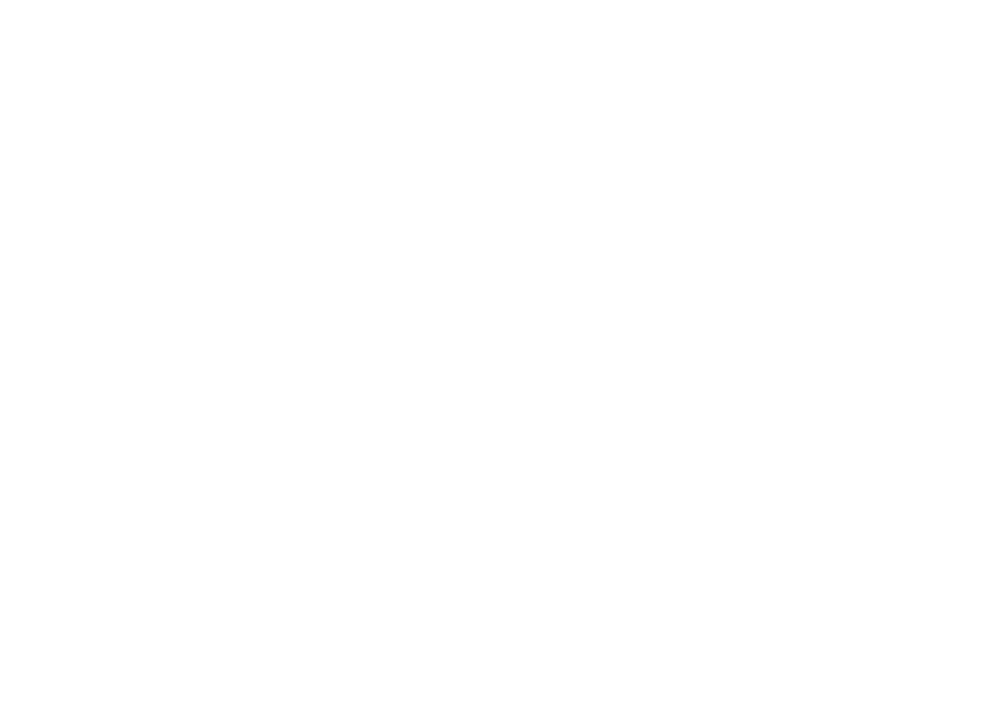 Wisconsin Dells